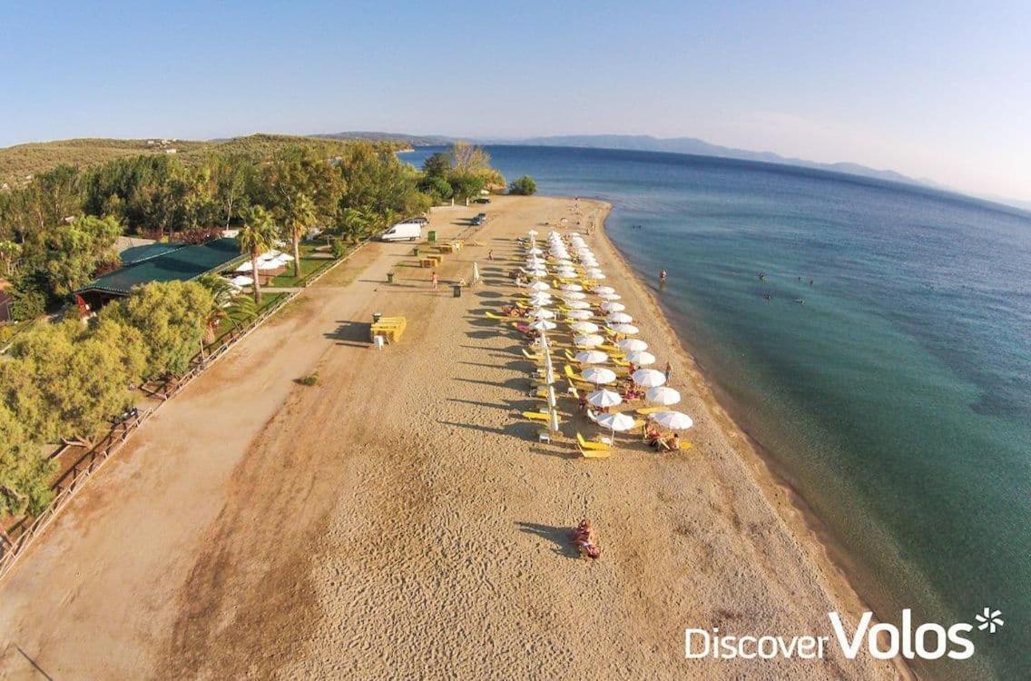 Blue Dream Koropi Pelion Milies South Pelion Lägenhet Exteriör bild