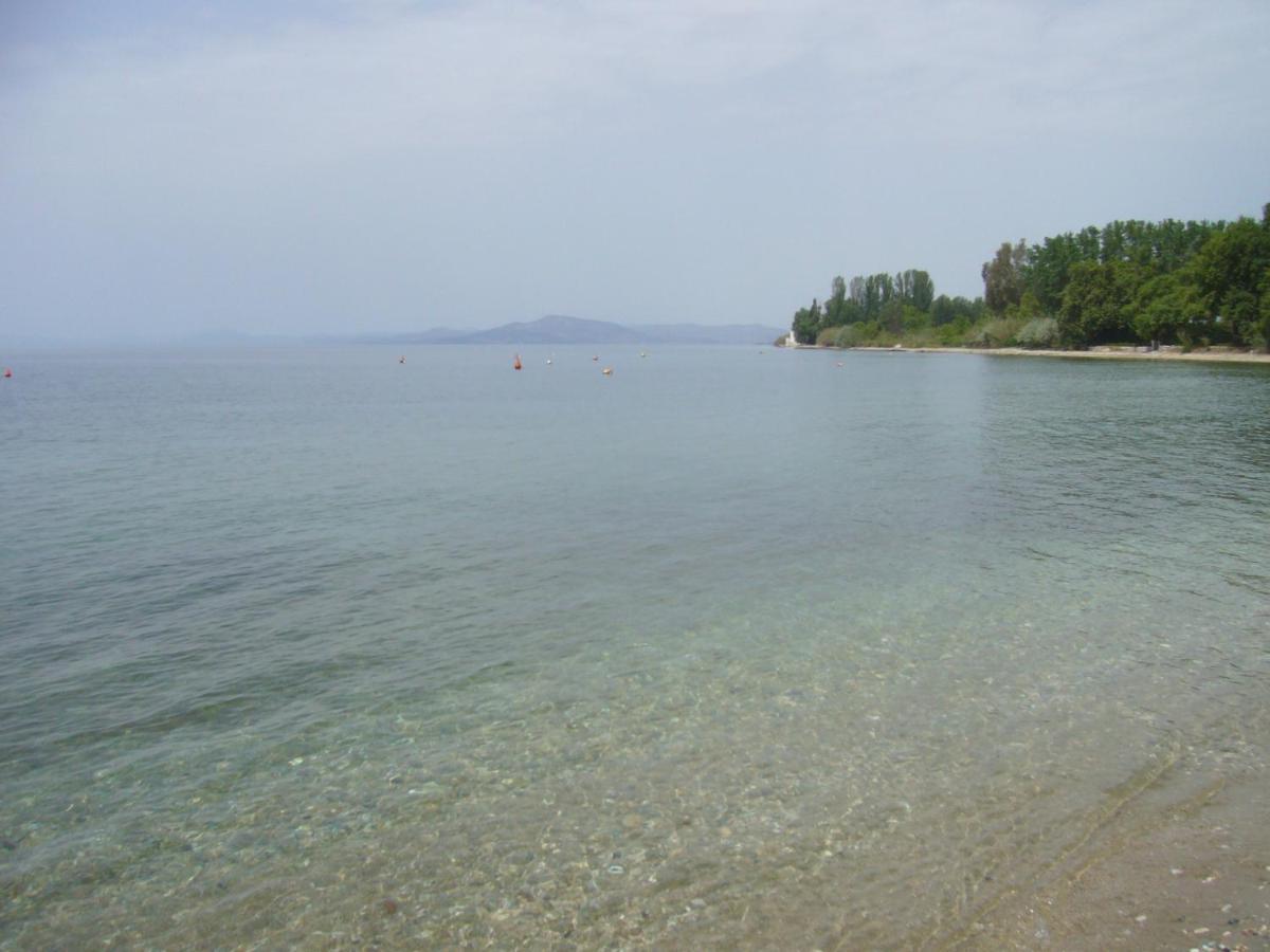Blue Dream Koropi Pelion Milies South Pelion Lägenhet Exteriör bild